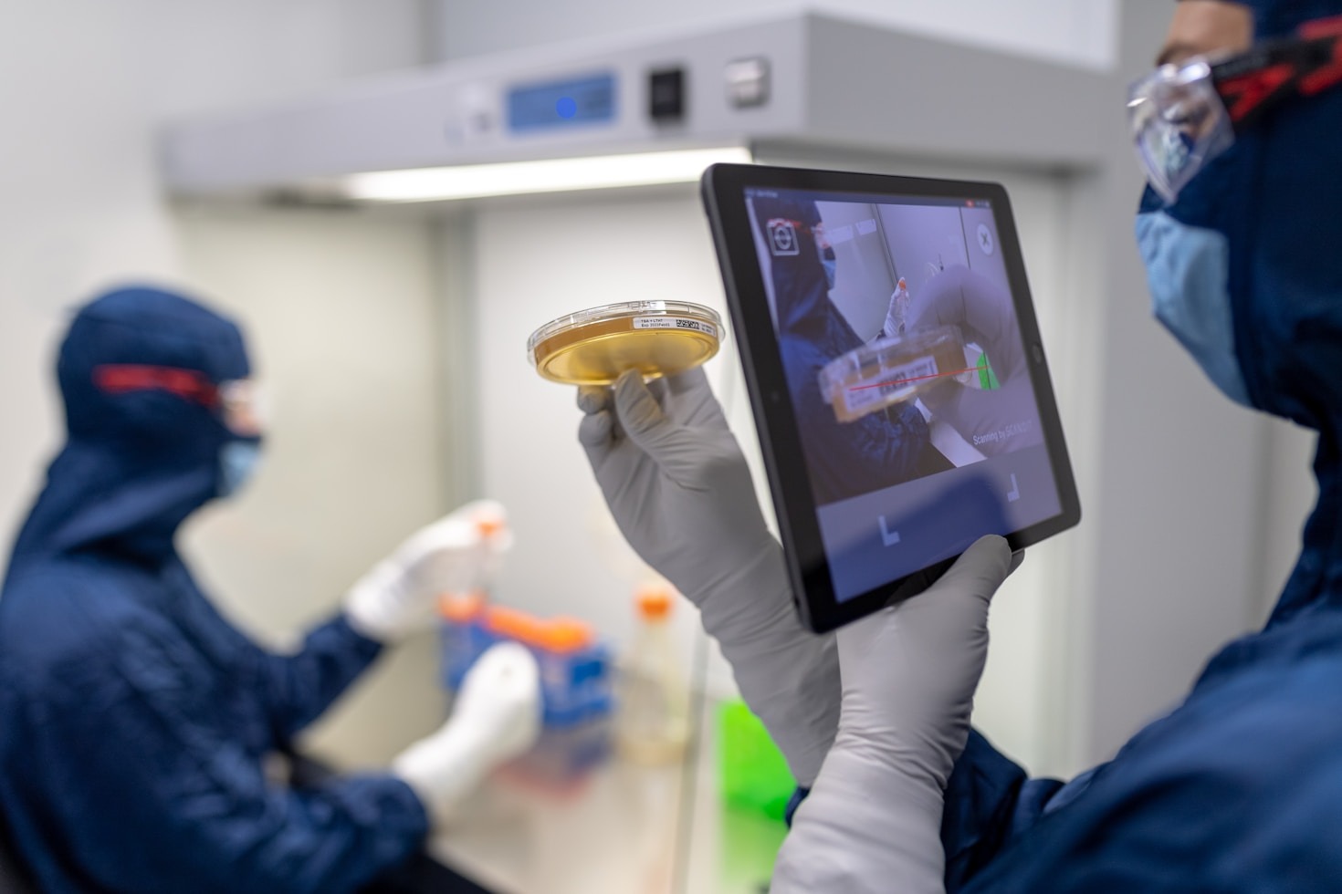 Gesundheitsbewusst leben mit der Kraft der Natur
